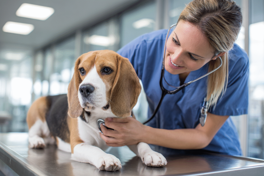 A compassionate veterinarian gently examining a calm dog on an examination table.